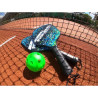 Sunflex Pickleball