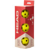 Pack complet de pickleball : 4 Raquettes -  1 filet - 6 balles - Marquage | pickleball-store.fr